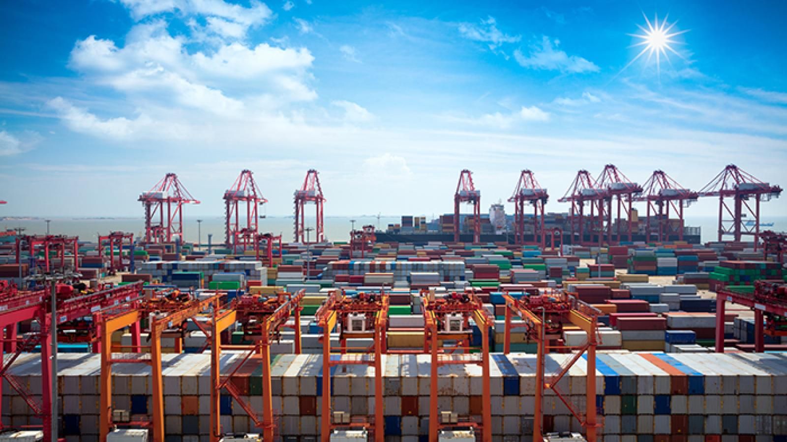 Banyan piatto Scopa shanghai sea port Applicato rompere farmacista